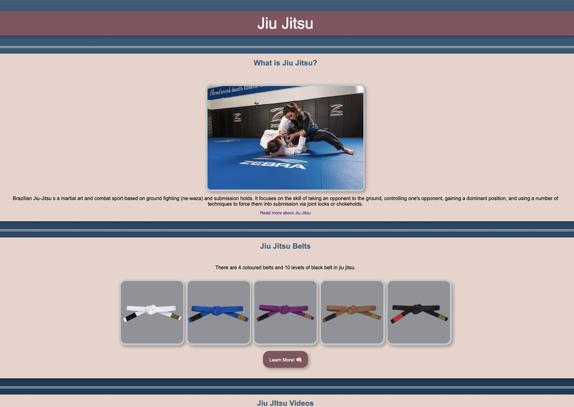 Jiu Jitsu Website